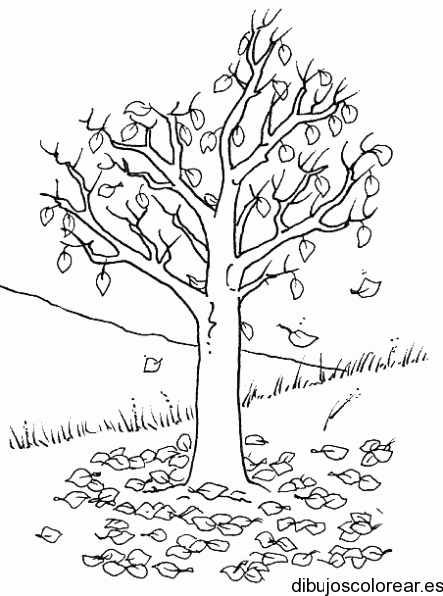 Dibujo de un árbol botando sus hojas