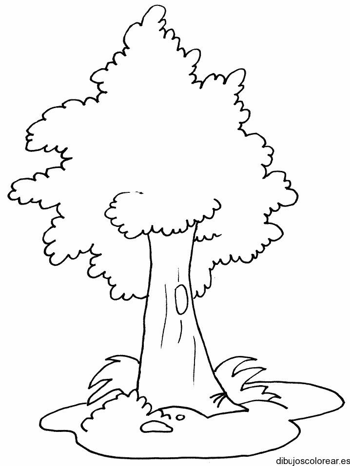 Dibujo De Un árbol De Largo Tronco