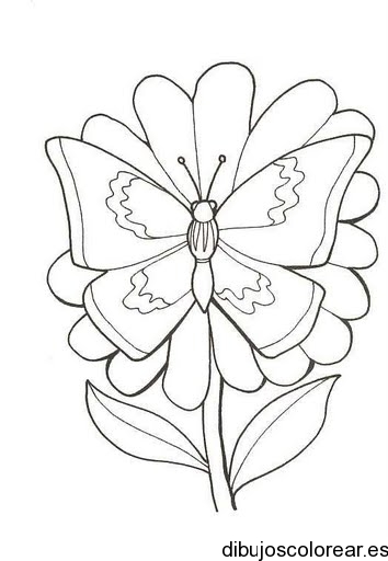 Dibujo de una mariposa en una flor