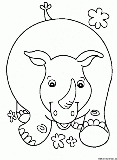 de-rinoceronte-para-colorir-4-7-animais