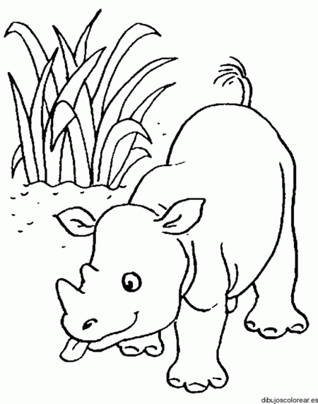 de-rinoceronte-para-colorir-5-7-animais