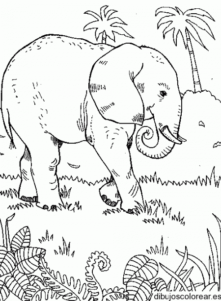 Dibujo de elefante en la selva