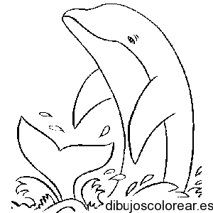 delfin para colorear-d5