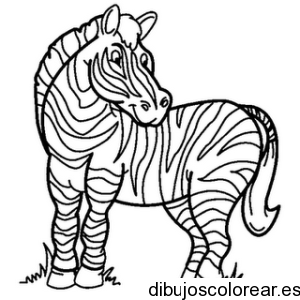 desenhos-para-colorir-zebra-desenhos-para-colorir