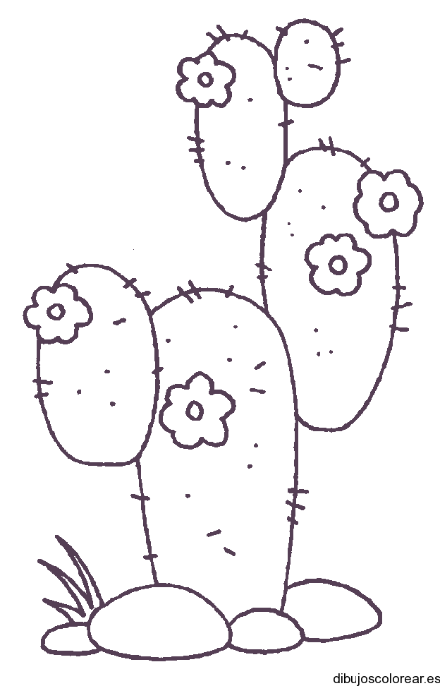 cactus and sombrero coloring pages - photo #43