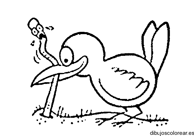 Dibujo de un ave y una lombriz | Dibujos para Colorear