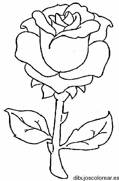 Dibujo de una rosa con dos hojas