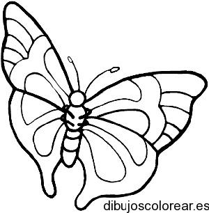 Dibujo de una mariposa monarca