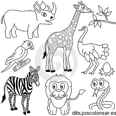 Dibujo de animales de la selva
