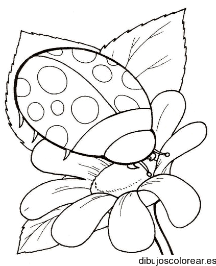 Dibujo de una mariquita entre flores