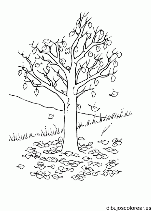 Dibujo de un árbol y flores