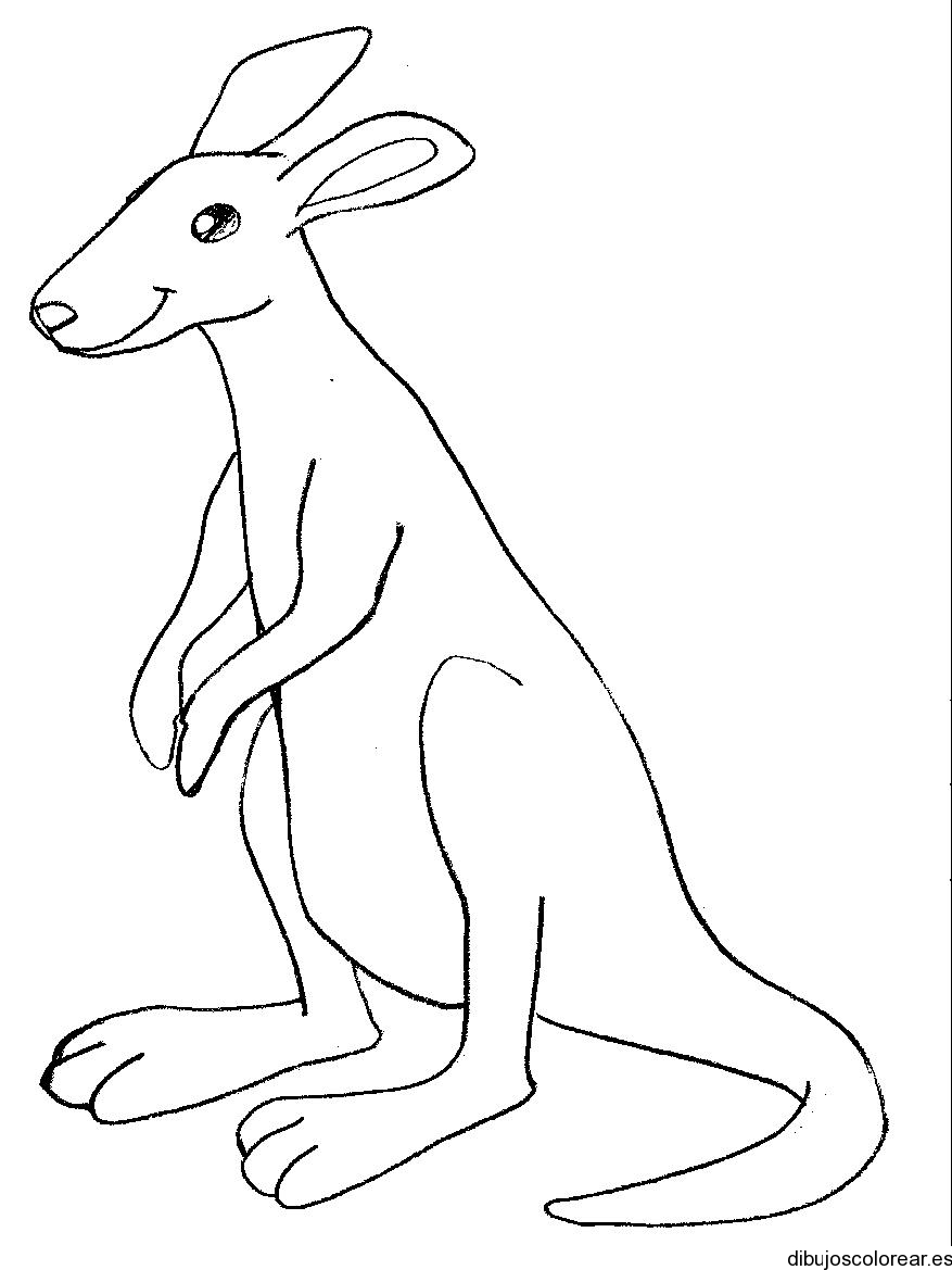 Dibujo de un gran canguro