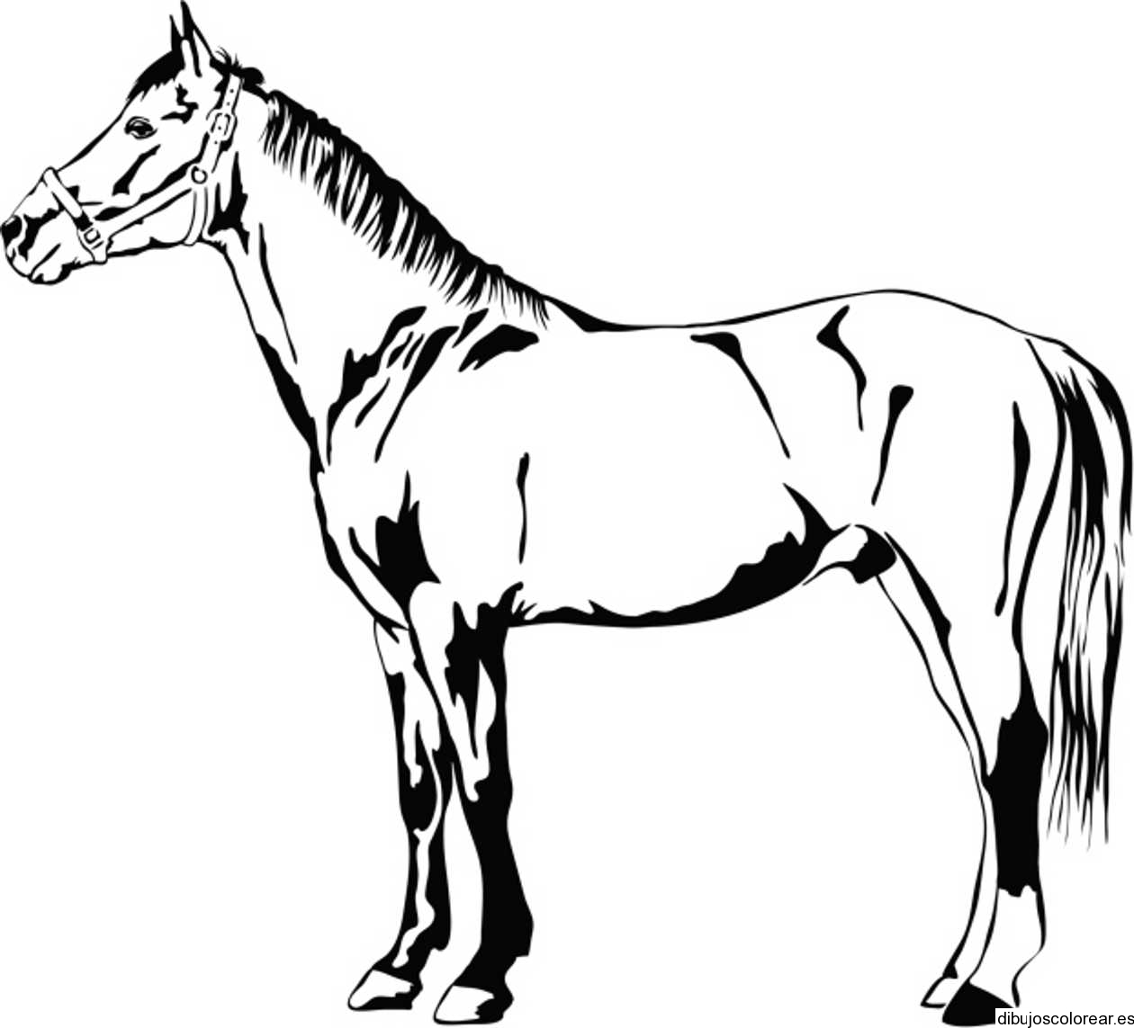 Resultat d'imatges de dibujos caballos