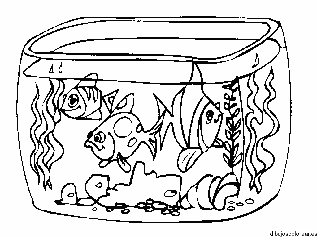 Dibujo de un acuario
