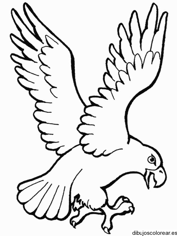 Dibujo de un niño y un águila