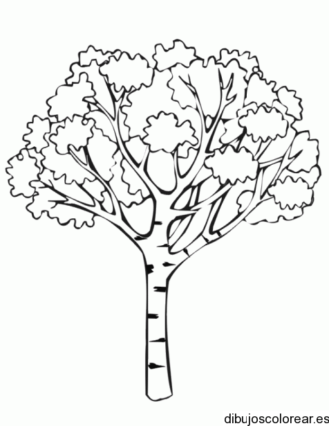 Dibujo de un árbol alto