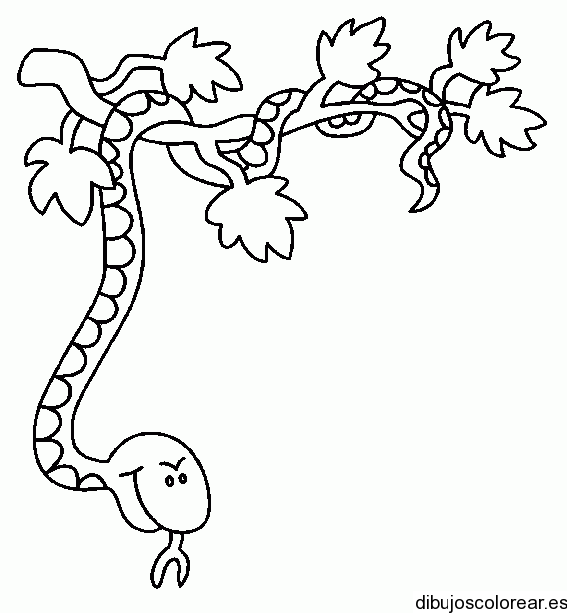 Dibujo de una serpiente en una rama