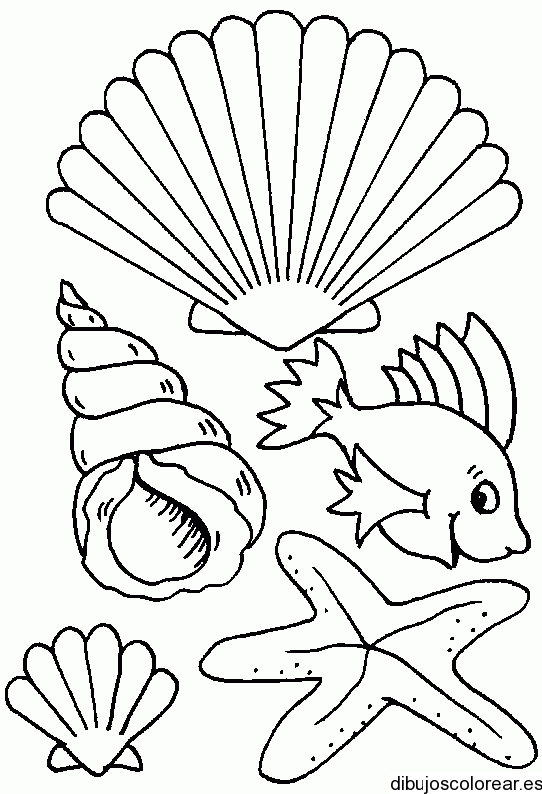 Dibujo de conchas y pez