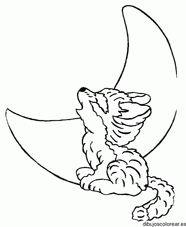 Dibujo De Un Lobo Y La Luna