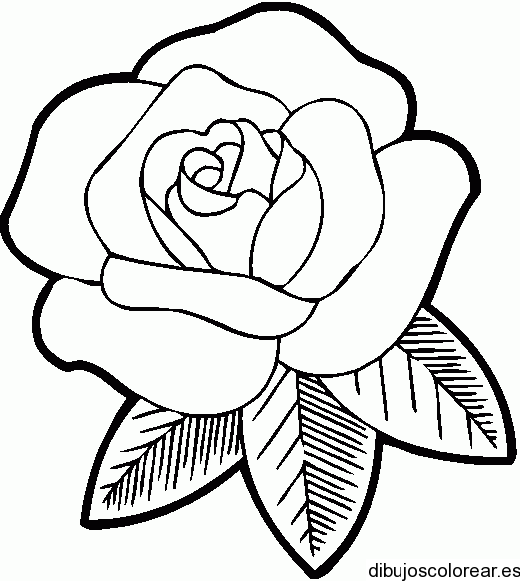 Dibujo de una flor con 3 hojas
