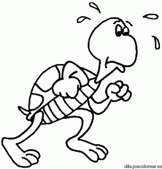 Dibujo de una tortuga trotando