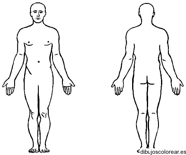 Dibujo de una silueta del cuerpo humano