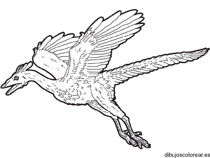 Dibujo de un terodáctilo volando