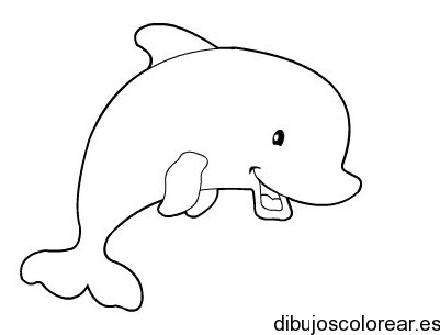 Dibujo de un pequeño delfín