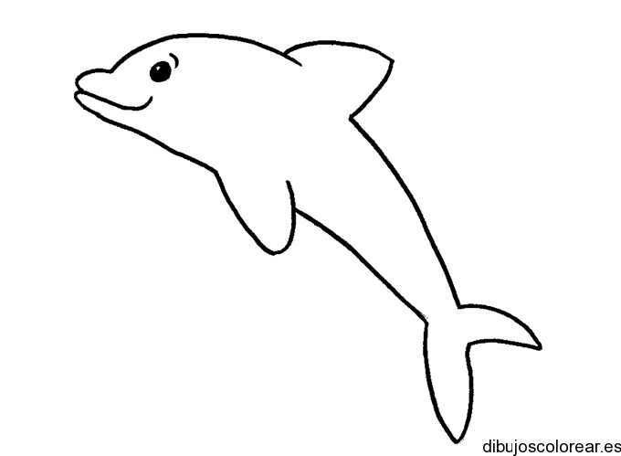 Dibujo De Un Delfin En El Aire