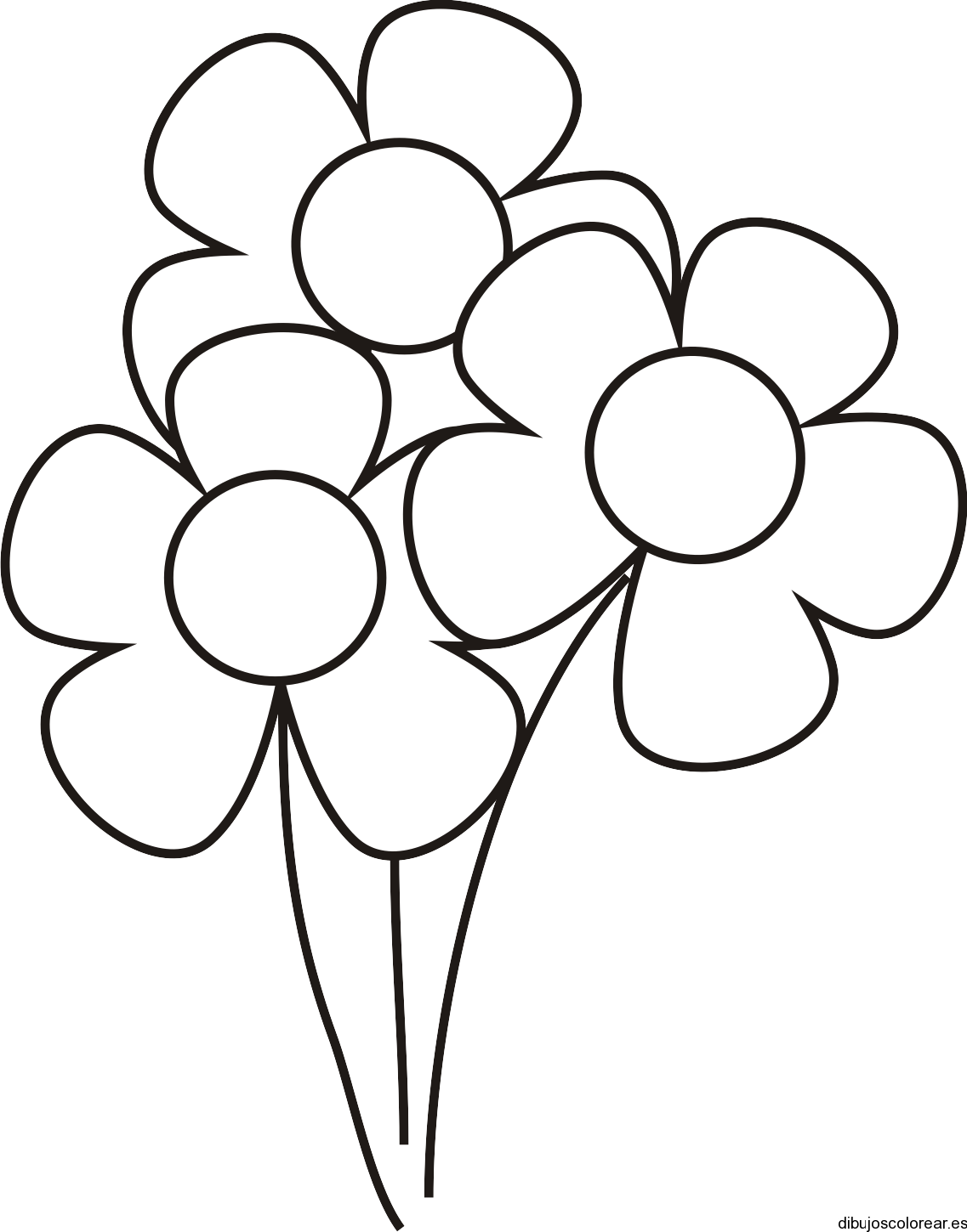 Dibujo de tres pequeñas flores