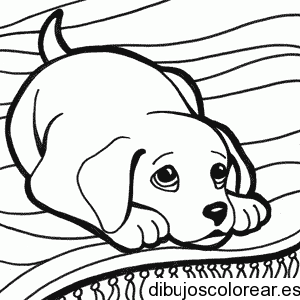 Dibujo de un perro sobre el sofá