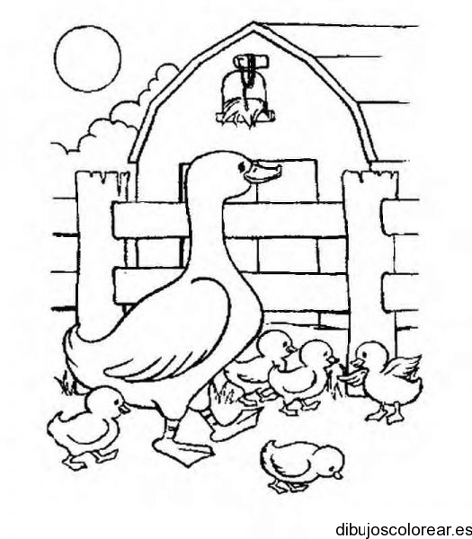 Dibujo De Familia De Patos