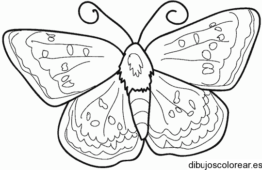  Dibujo de una mariposa con detalles