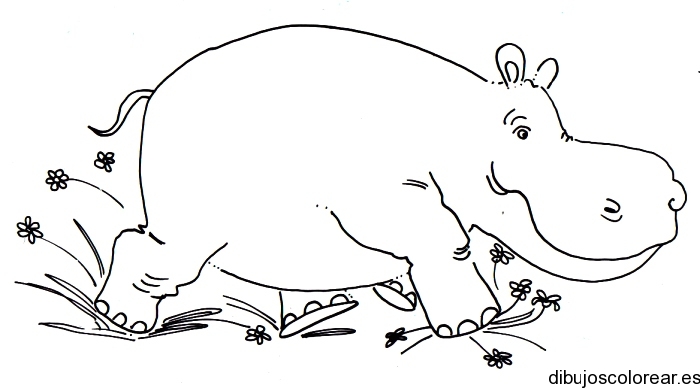 Dibujo de Hipopótamo paseando