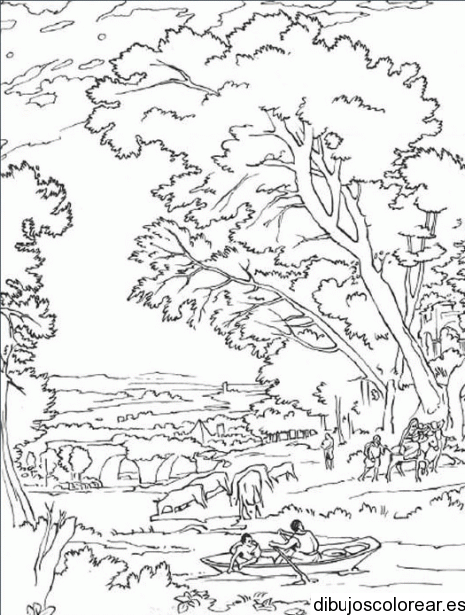 Dibujo De Una Selva