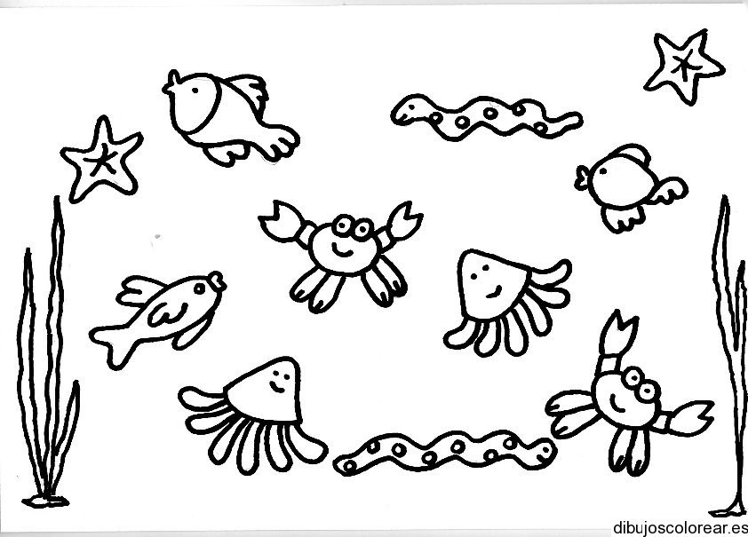 Dibujo de animales acuáticos