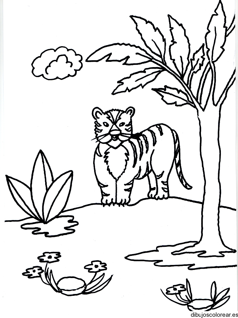 Dibujo de un tigre paseando por la selva