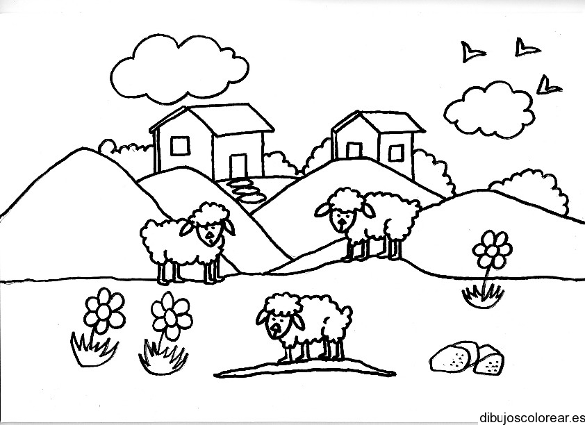 Dibujo de ovejas en un lago