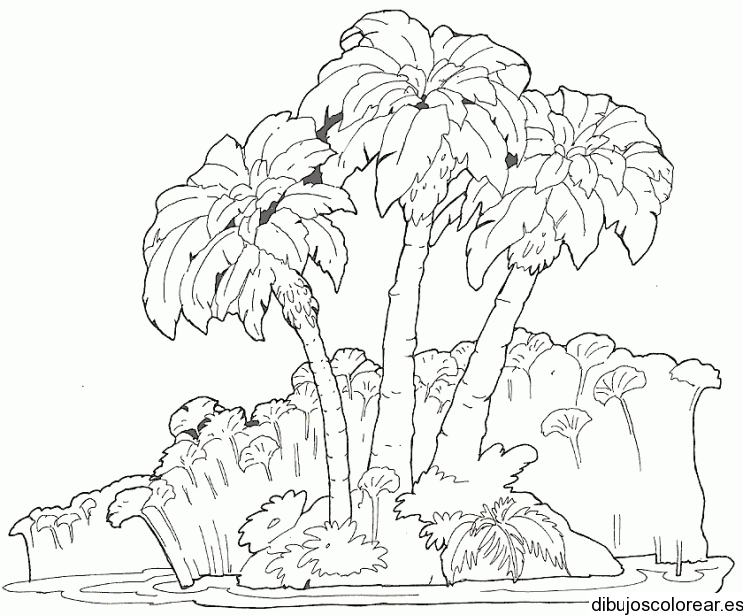 Dibujo de una playa con palmeras