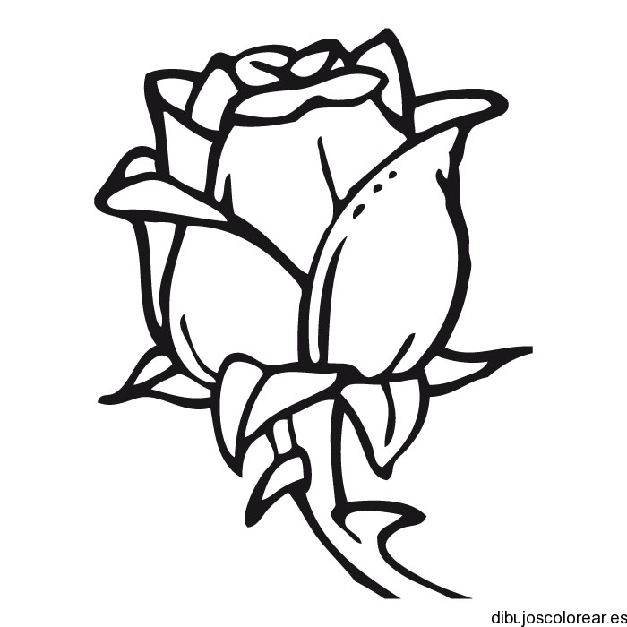 Featured image of post Rosas Animadas Para Dibujar Cuando buscamos unas rosas para dibujar tenemos que tener en claro antes que nada la t cnica en la que vamos a desarrollar el una vez empieces a dominar el dibujo de la rosa ya es interesante que te animes a sombrear tu dibujo