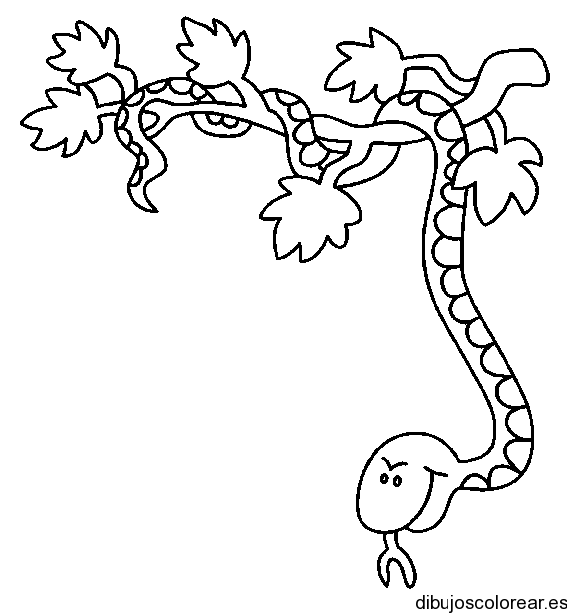 Dibujo de una serpiente en una rama